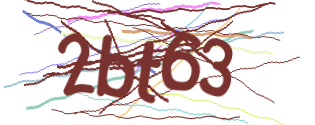 Enter the character string shown in the picture