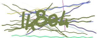 Enter the character string shown in the picture