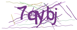Enter the character string shown in the picture