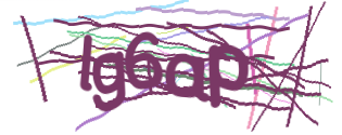 Enter the character string shown in the picture