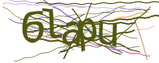 Enter the character string shown in the picture