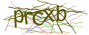 Enter the character string shown in the picture