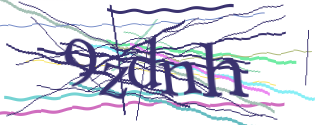 Enter the character string shown in the picture