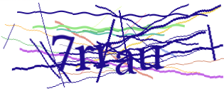 Enter the character string shown in the picture