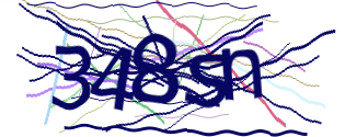 Enter the character string shown in the picture