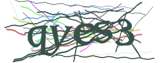 Enter the character string shown in the picture