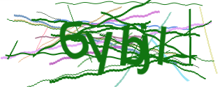 Enter the character string shown in the picture