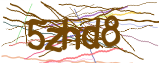 Enter the character string shown in the picture