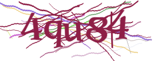 Enter the character string shown in the picture