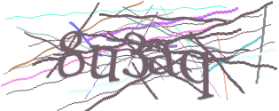 Enter the character string shown in the picture