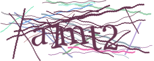 Enter the character string shown in the picture