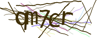 Enter the character string shown in the picture