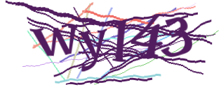 Enter the character string shown in the picture