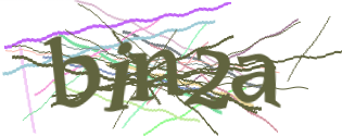 Enter the character string shown in the picture