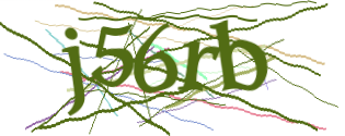 Enter the character string shown in the picture