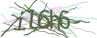 Enter the character string shown in the picture