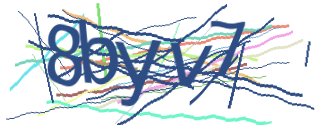 Enter the character string shown in the picture