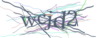 Enter the character string shown in the picture