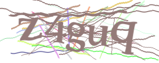 Enter the character string shown in the picture