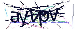 Enter the character string shown in the picture