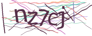 Enter the character string shown in the picture