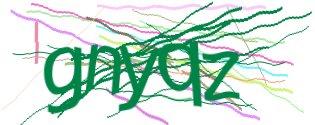 Enter the character string shown in the picture
