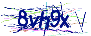 Enter the character string shown in the picture