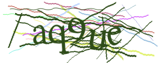 Enter the character string shown in the picture