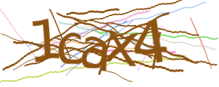 Enter the character string shown in the picture