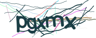 Enter the character string shown in the picture
