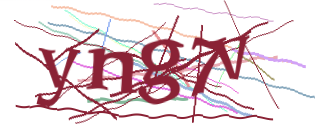 Enter the character string shown in the picture