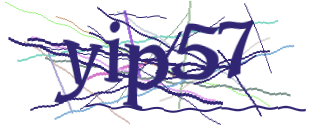 Enter the character string shown in the picture
