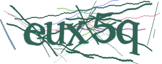 Enter the character string shown in the picture