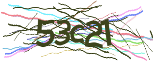Enter the character string shown in the picture