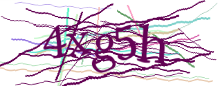 Enter the character string shown in the picture