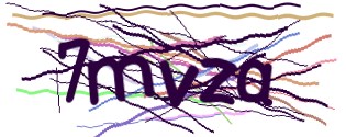 Enter the character string shown in the picture