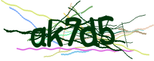 Enter the character string shown in the picture