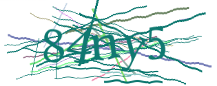 Enter the character string shown in the picture
