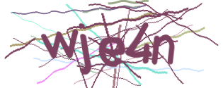 Enter the character string shown in the picture