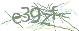 Enter the character string shown in the picture