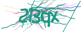Enter the character string shown in the picture