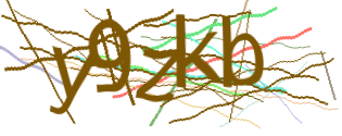 Enter the character string shown in the picture