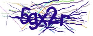 Enter the character string shown in the picture