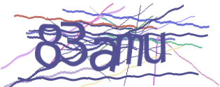 Enter the character string shown in the picture