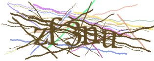 Enter the character string shown in the picture