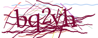 Enter the character string shown in the picture