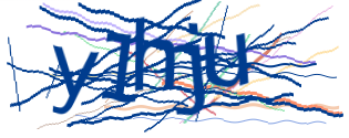 Enter the character string shown in the picture
