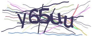 Enter the character string shown in the picture