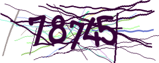 Enter the character string shown in the picture