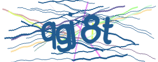 Enter the character string shown in the picture